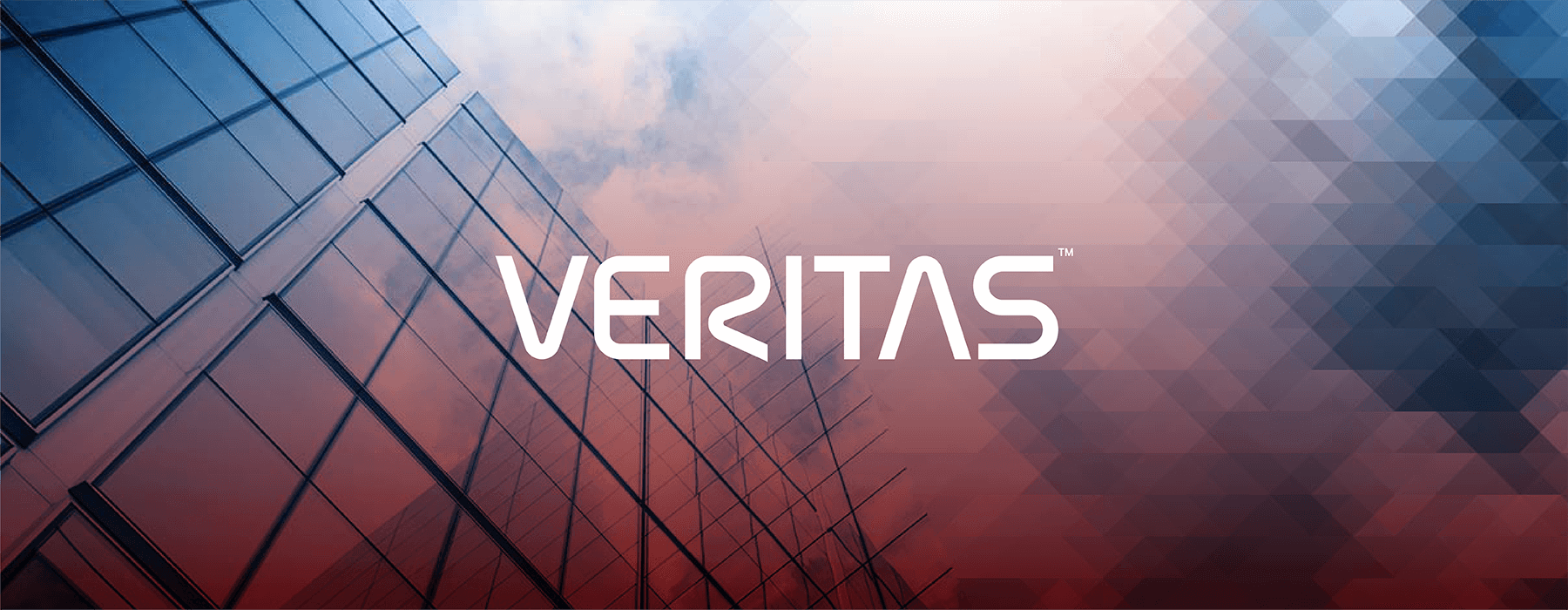 Ashkan Salehi - Veritas website and materials design